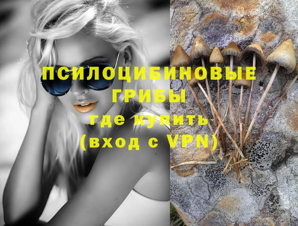 ГАЛЛЮЦИНОГЕННЫЕ ГРИБЫ Абдулино
