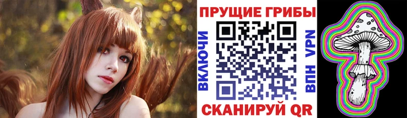 Галлюциногенные грибы Cubensis  Болгар 