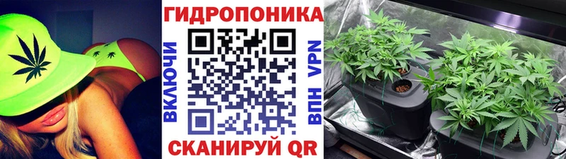 Конопля White Widow  дарнет шоп  Болгар 